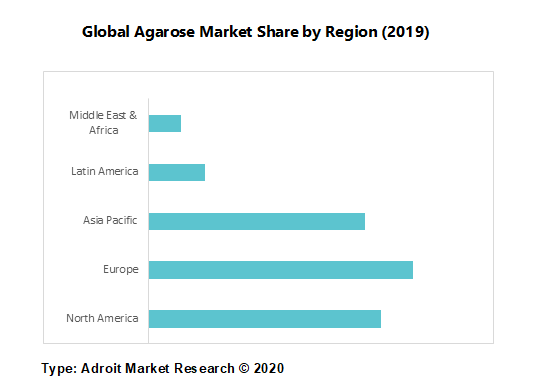 Global Agarose Market Share by Region (2019)