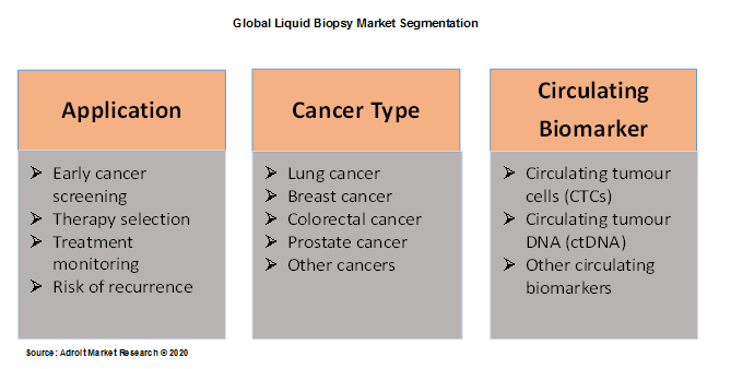 Global Liquid Biopsy Market Segmentation