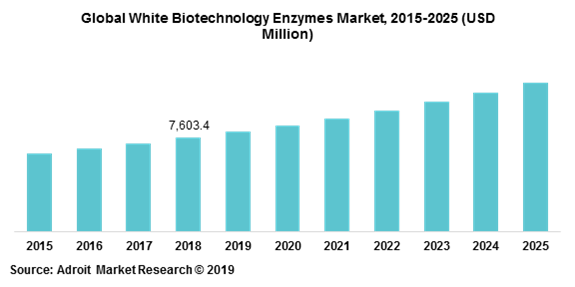 Global White Biotechnology Enzymes Market, 2015-2025 (USD Million)