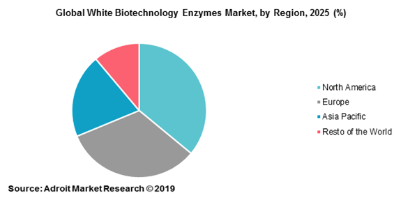Global White Biotechnology Enzymes Market, by Regions, 2025 (%)