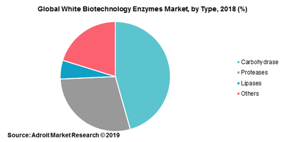 Global White Biotechnology Enzymes Market, by Types, 2018 (%)